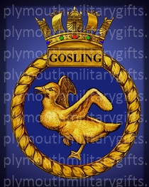 HMS Gosling Magnet